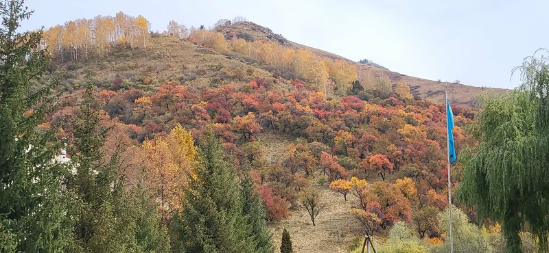 Үлкен сиськи секс онлайн