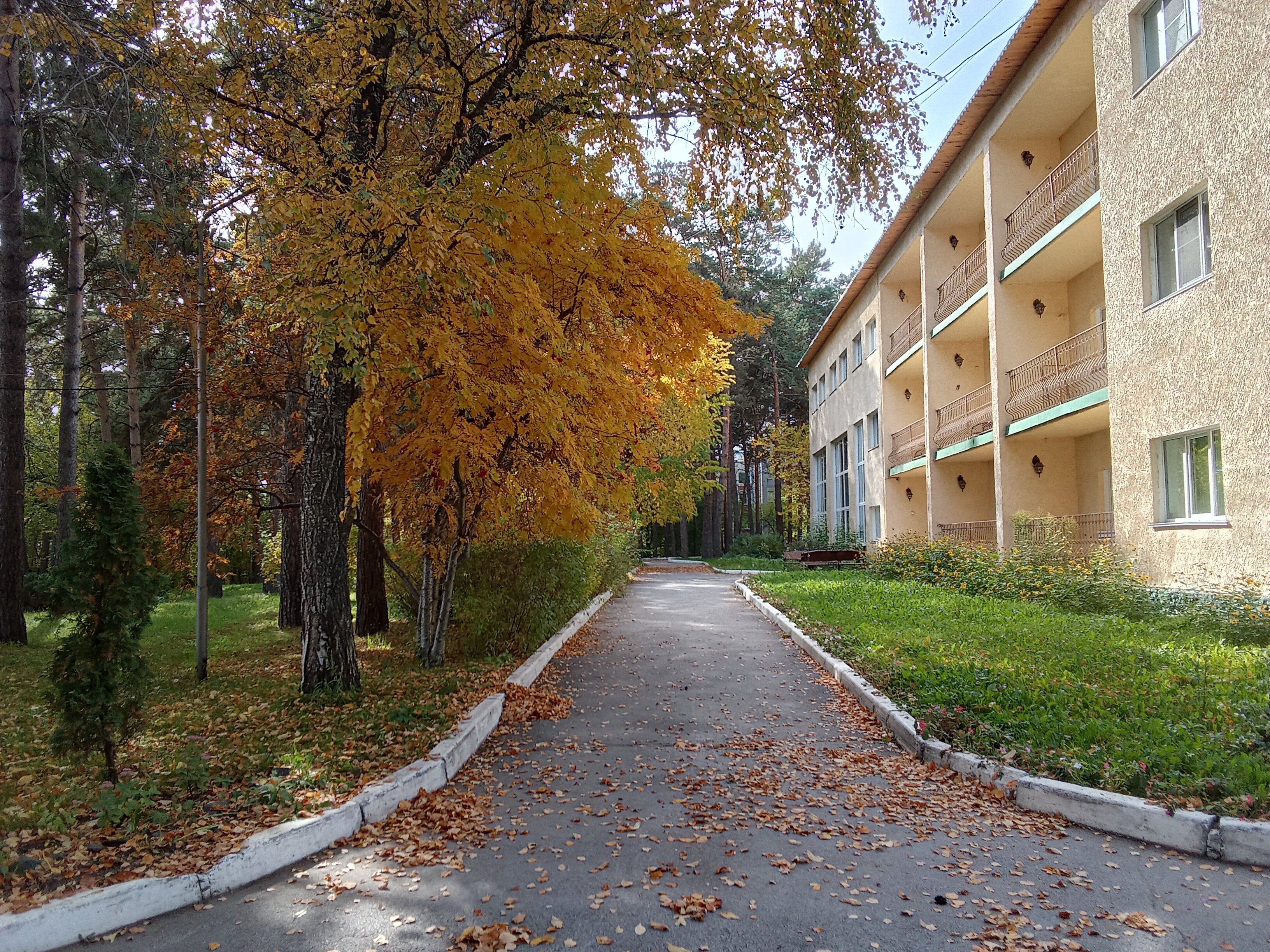 Фото Лесная сказка