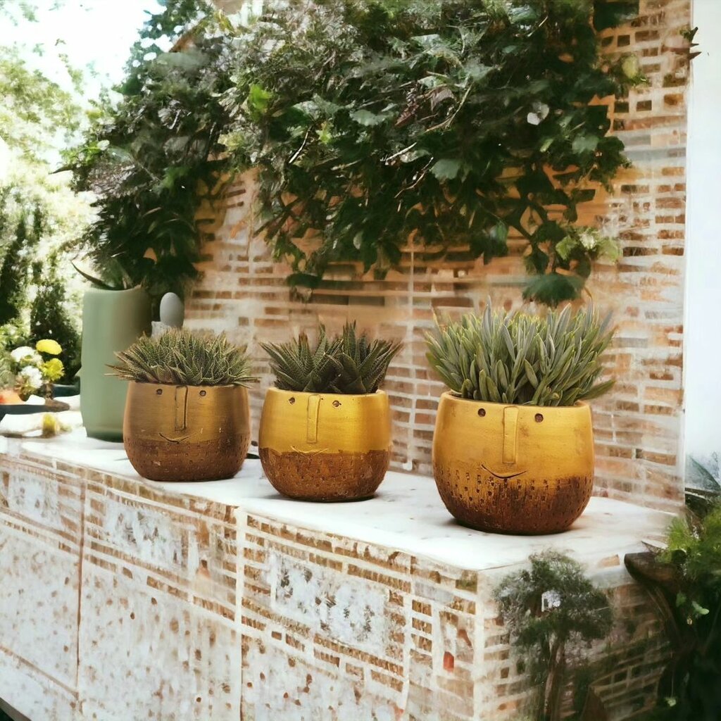 Landscape design Eren Nursery, Hendek, photo