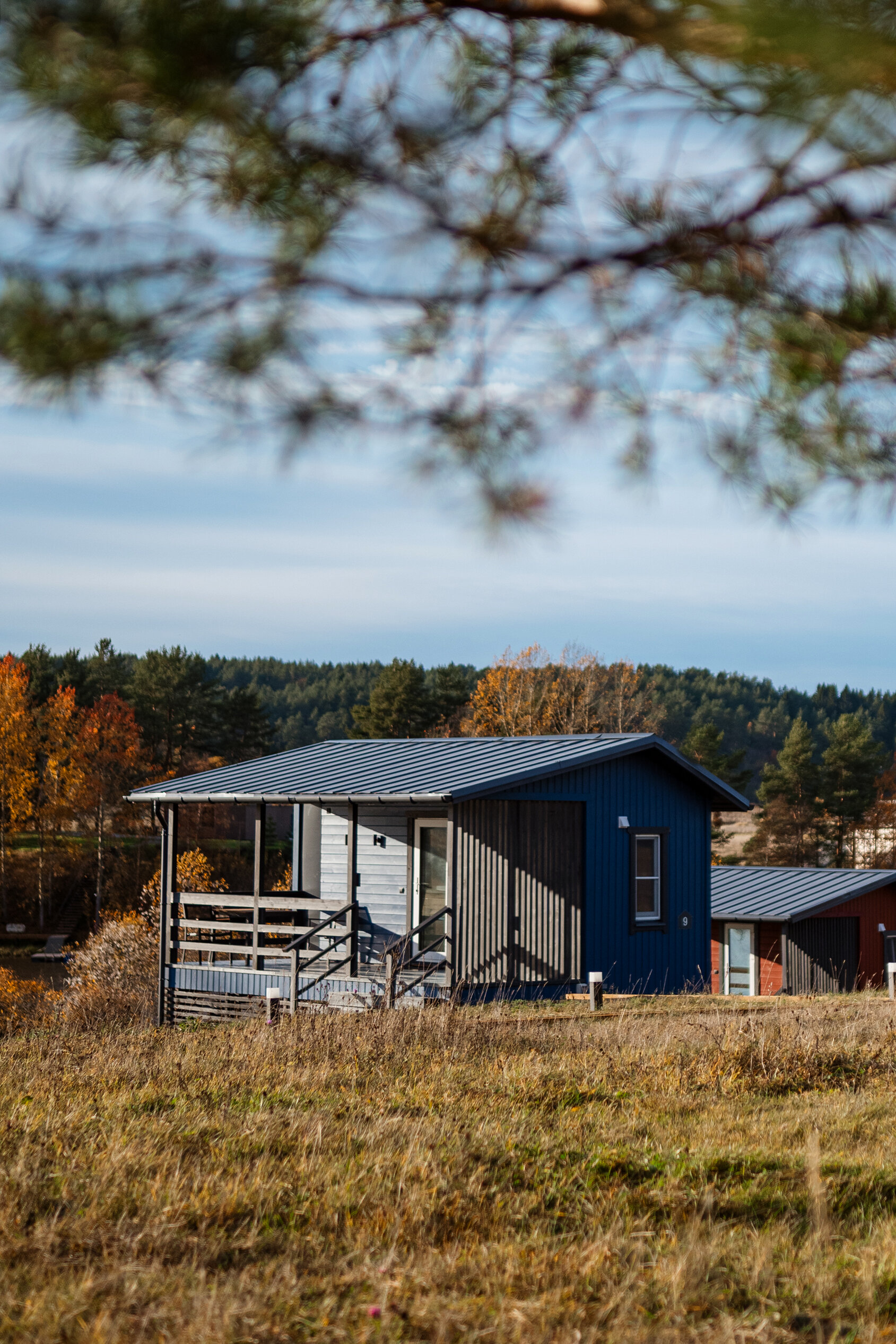Фото Ягодная деревня