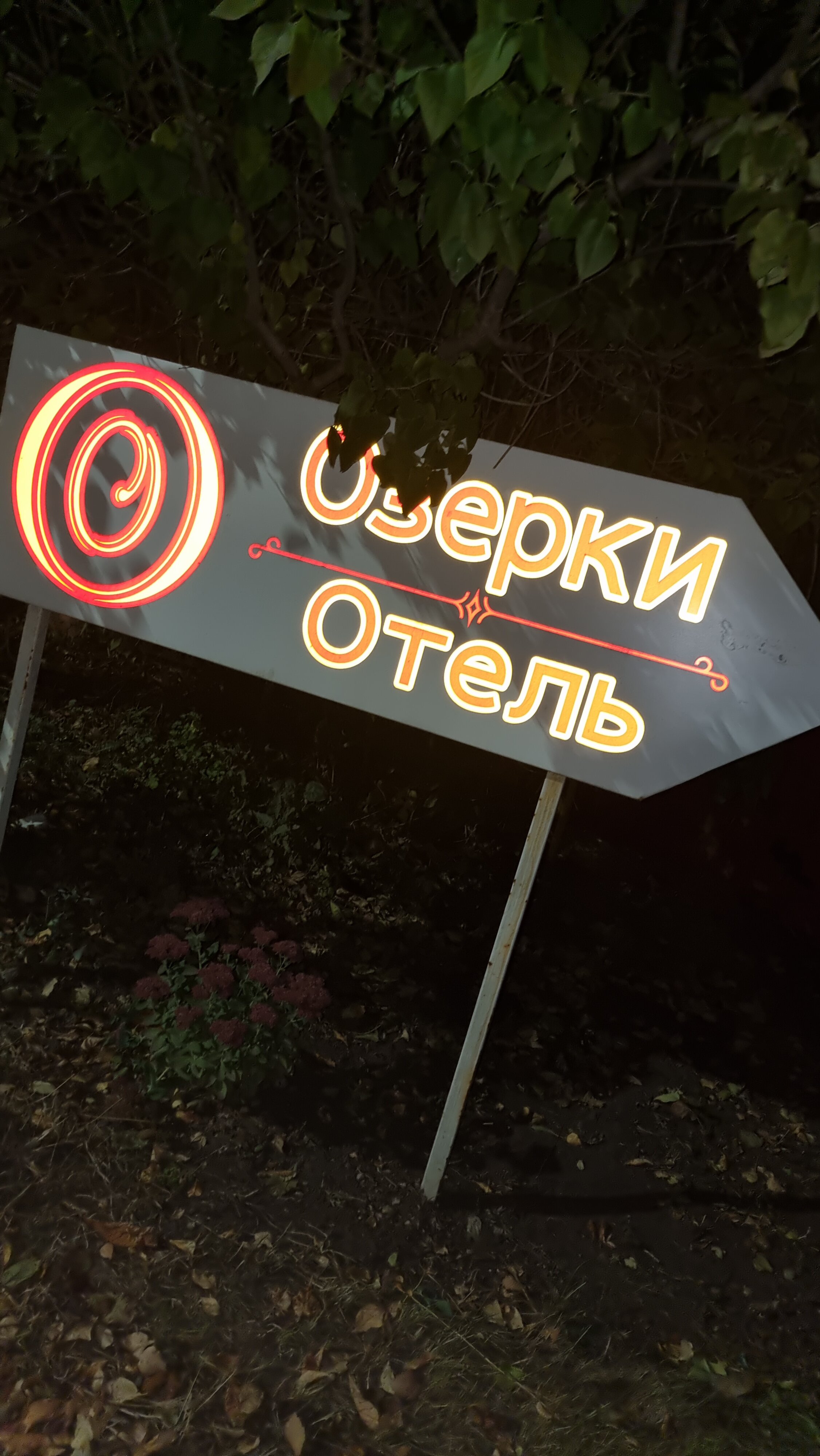 Фото Озерки