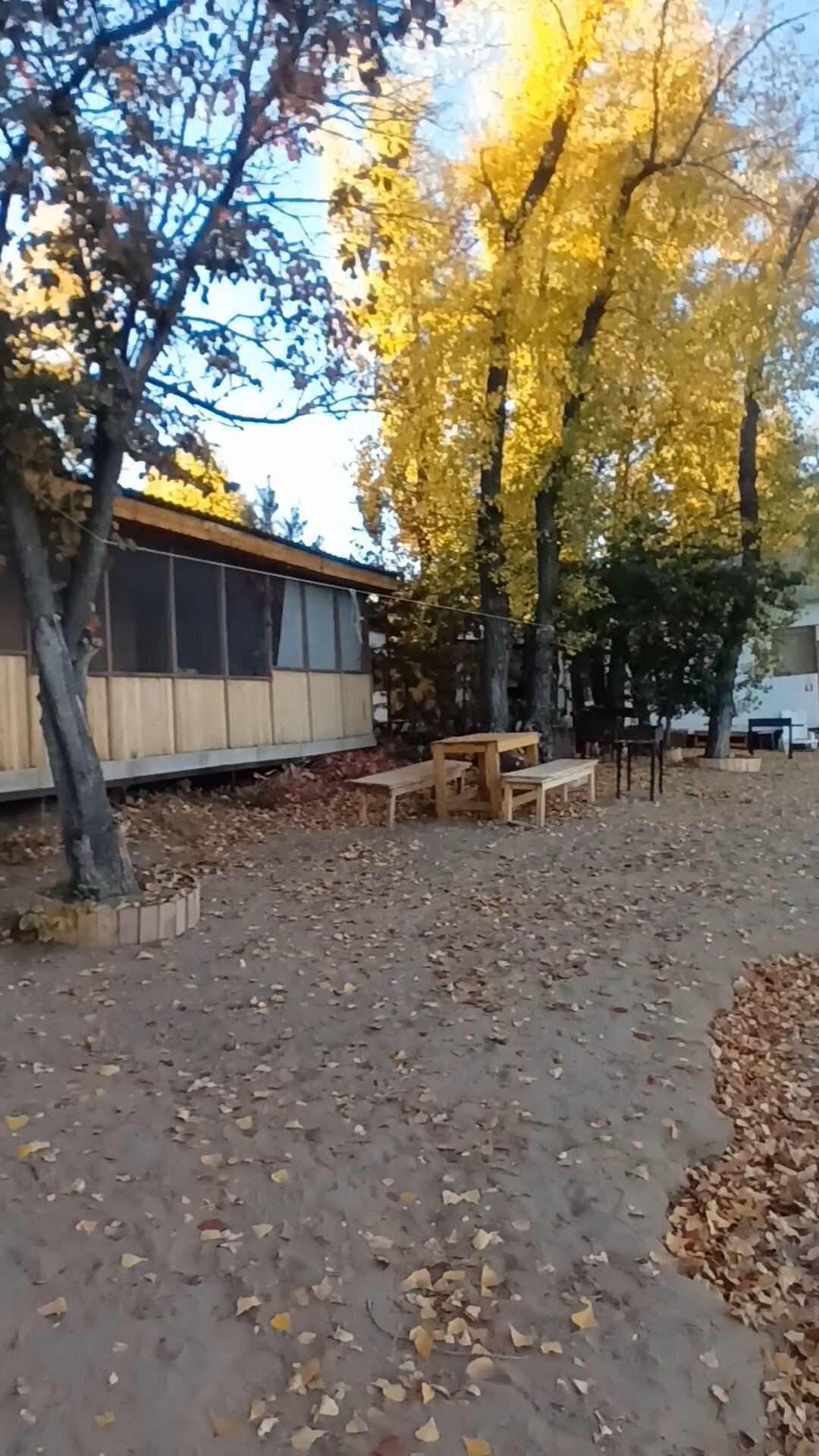 Фото Спектр