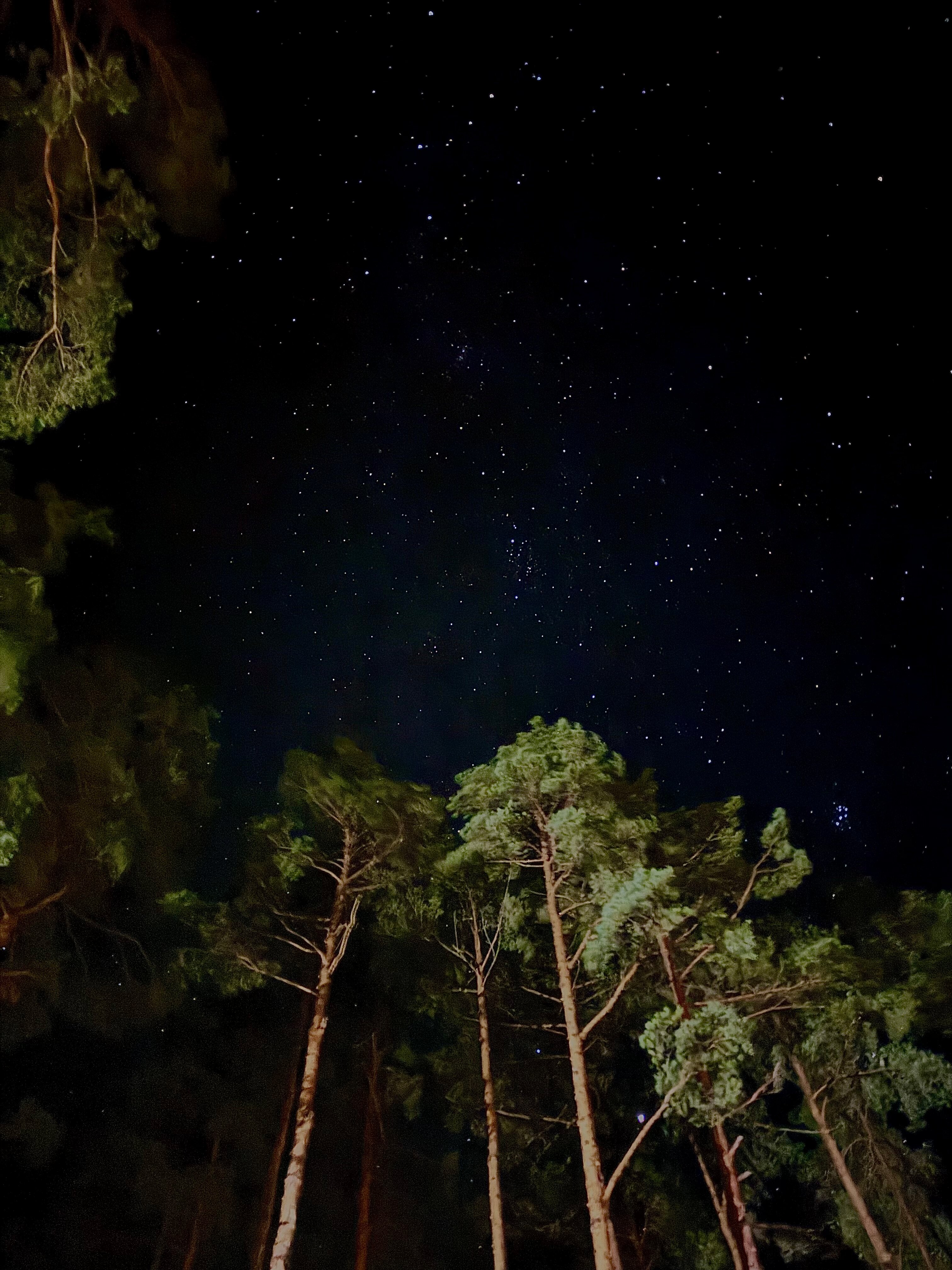 Фото Хуторок