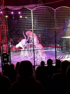 Цирк Владимира Дерябкина (Lobnya, Krasnopolyanskiy proyezd, 2), circus