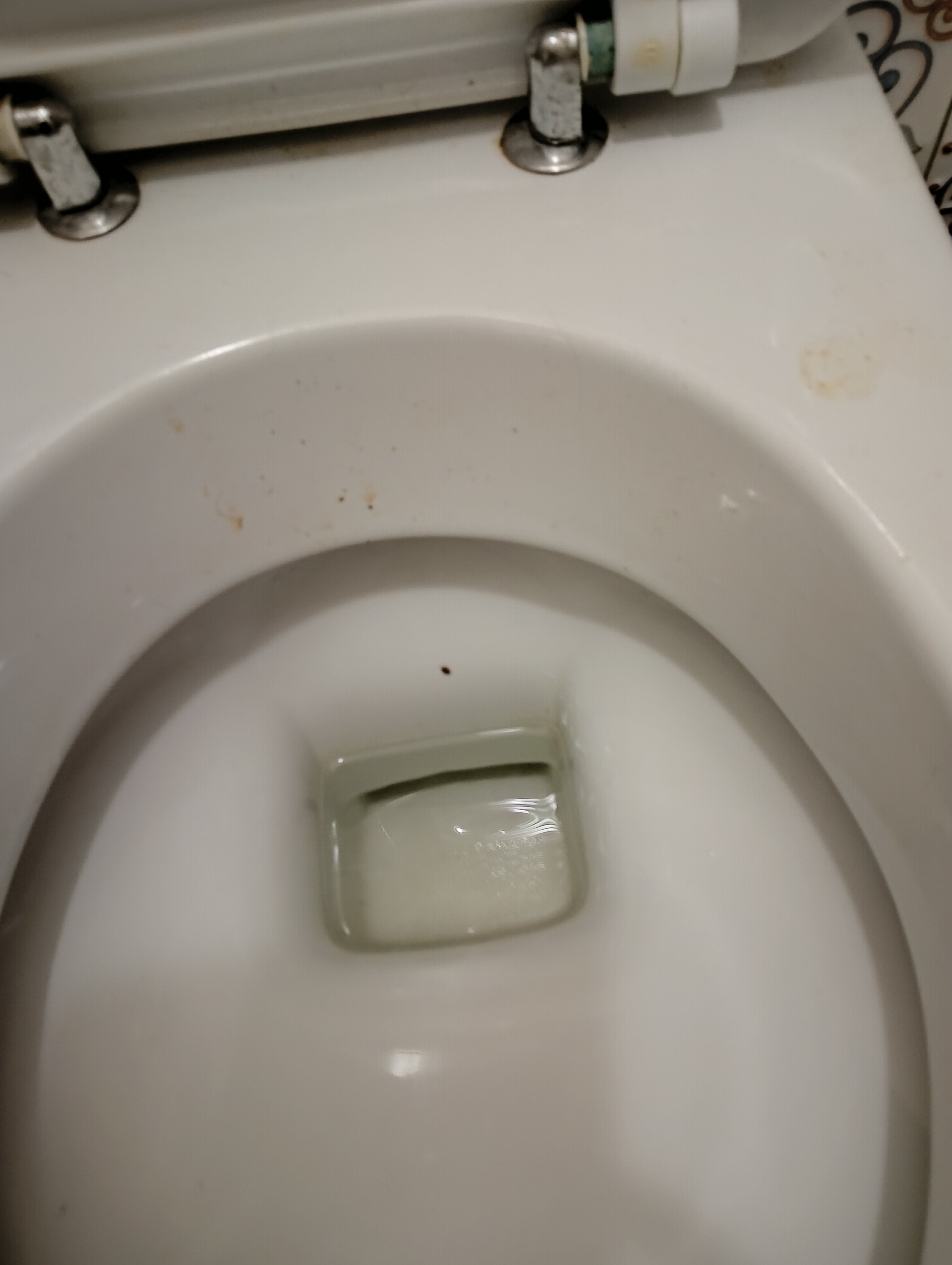 Фото Аристократ