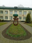 Школа искусств (Navagrudak, vulica Mickievicha, 9) ، مدرسة الفنون