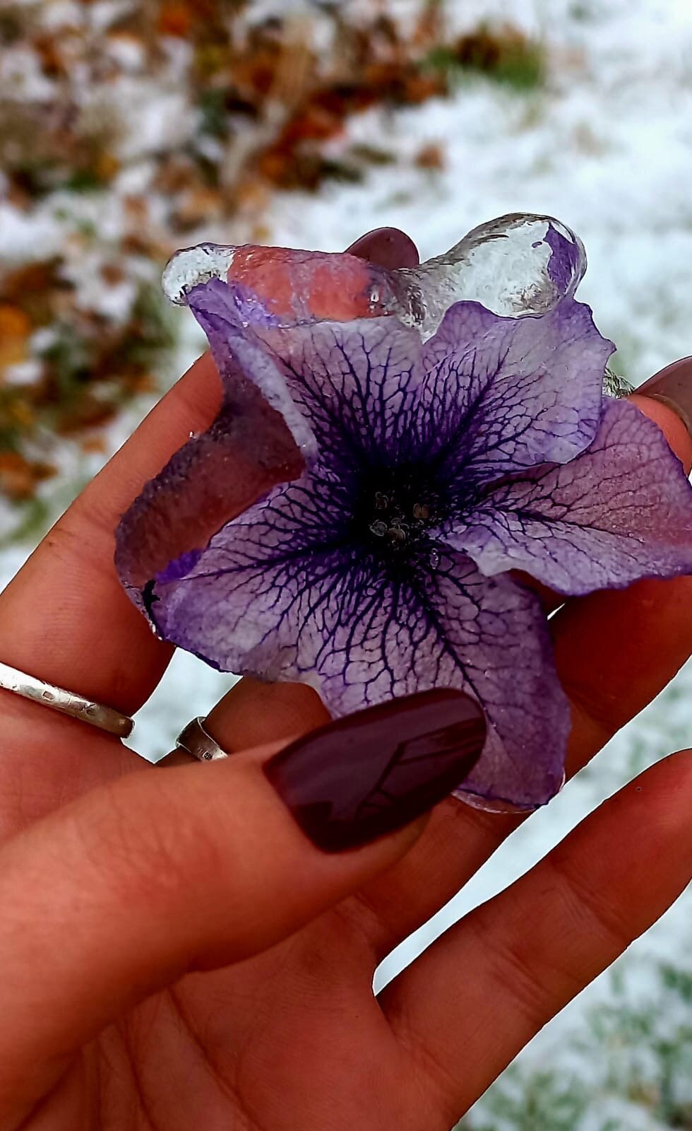 Фото Добрыня