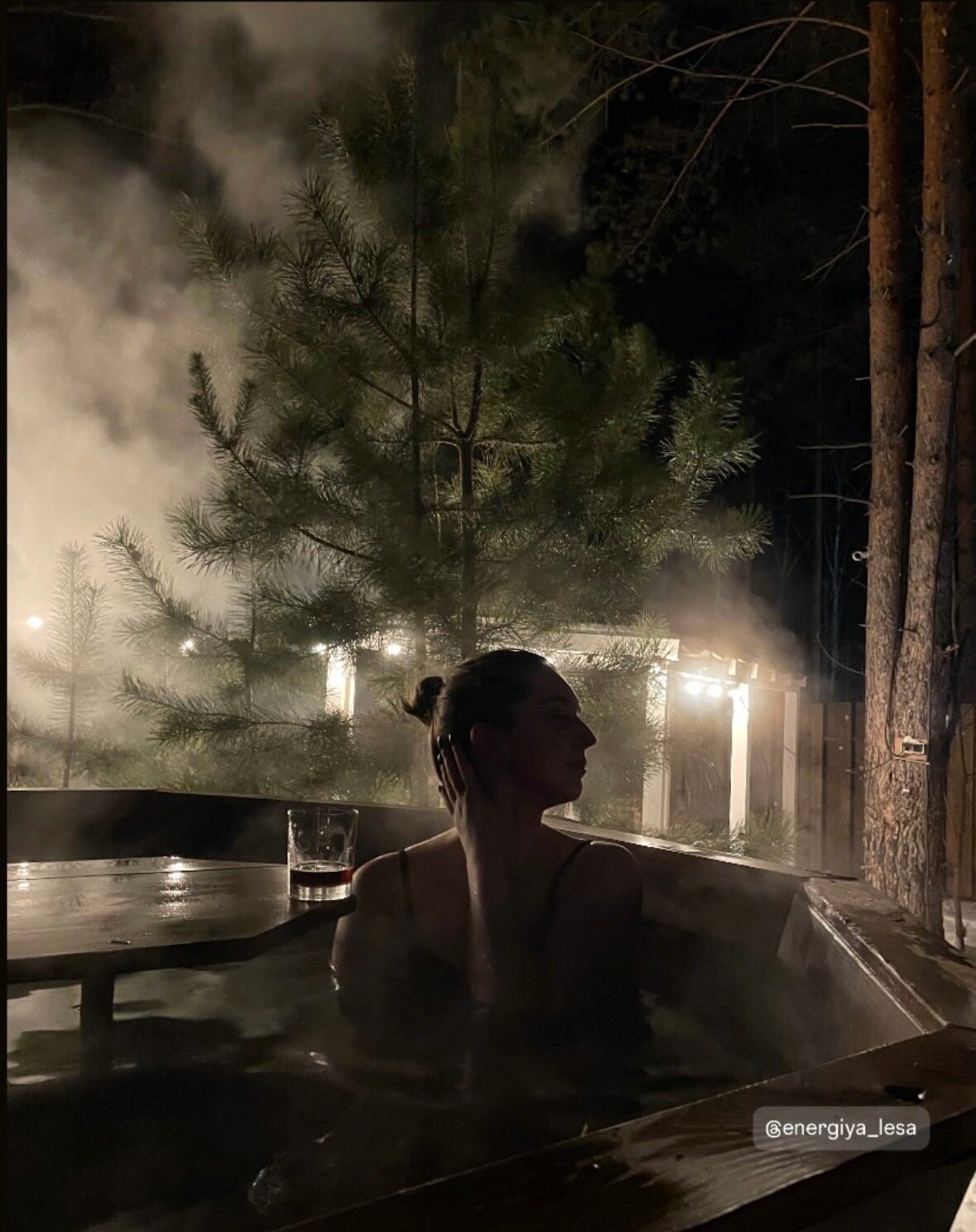 Фото Энергия леса