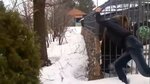 Охотник (ulitsa Entuziastov, 2), bar, pub