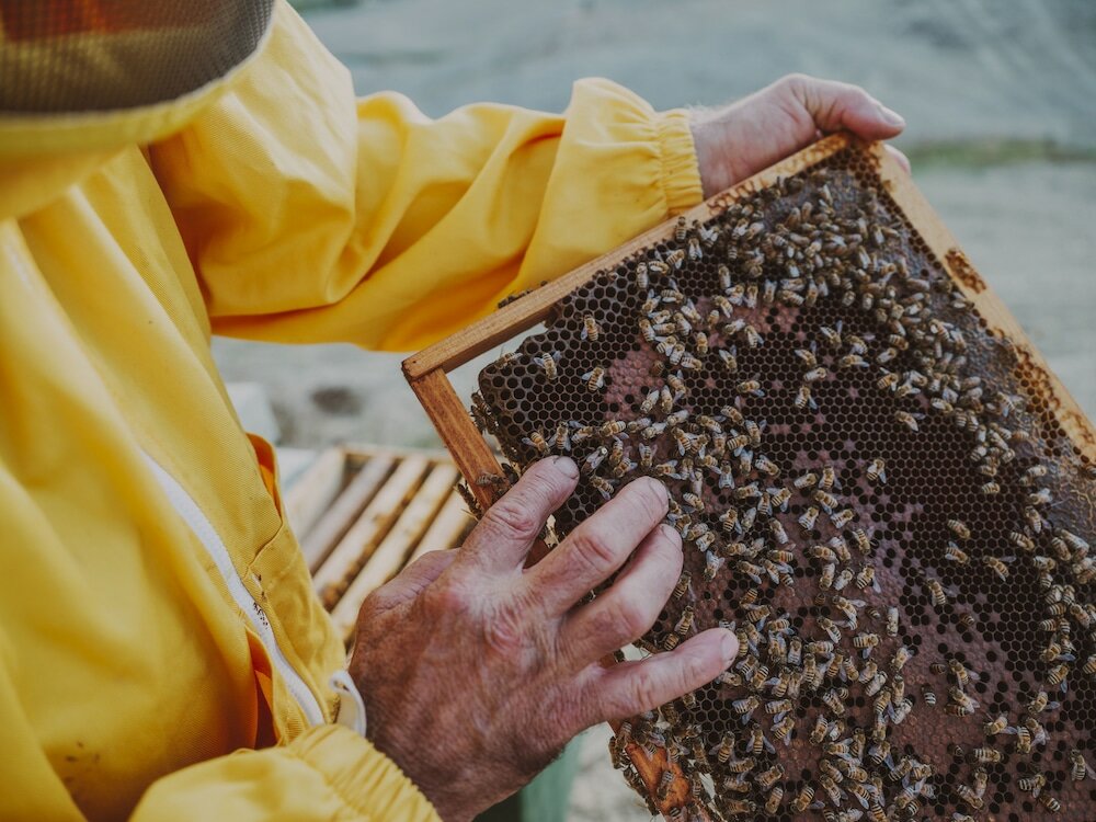 Фото Agriturismo Pelagaccio