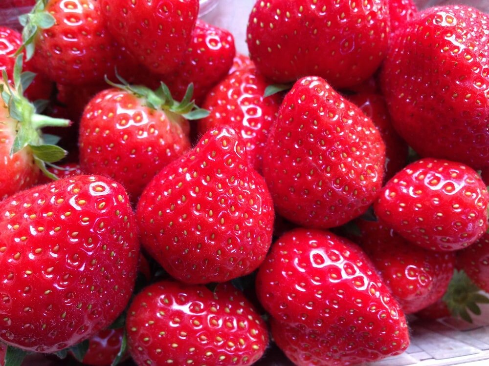 Фото Riad Mehdia