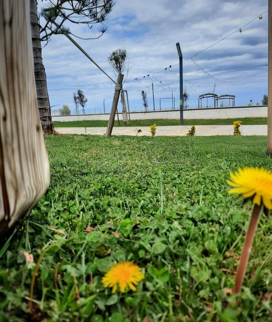 Mosque Bahcelievler Mosque, Zonguldak, photo