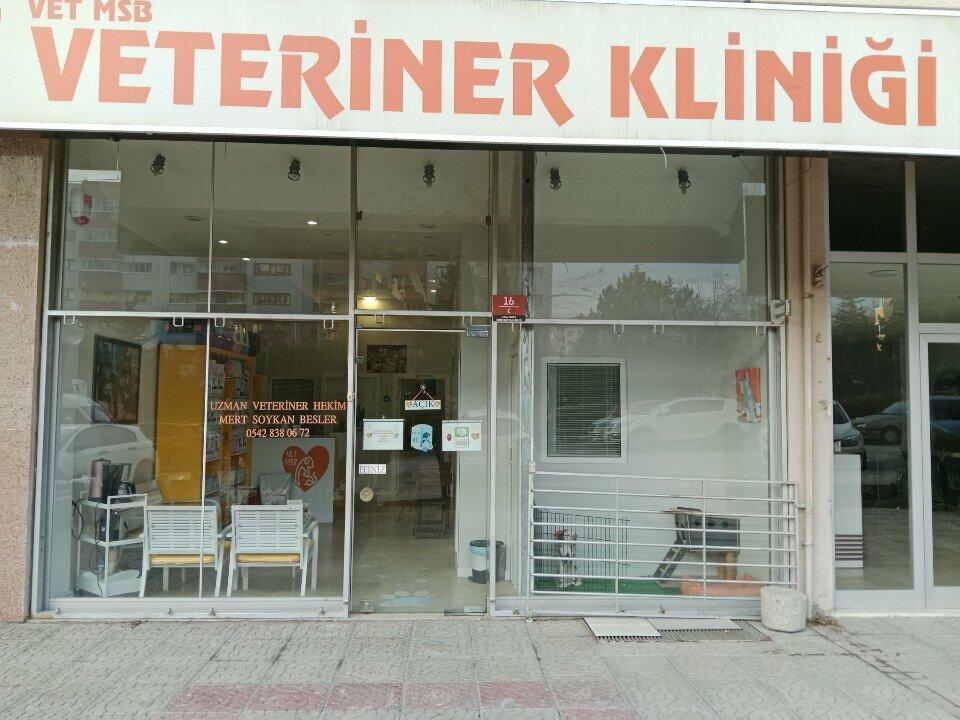 Veterinary clinic Vet Msb Veterinary Clinic, Ankara, photo