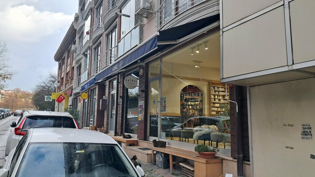 Gift and souvenir shop Studio Giz, Istanbul, photo