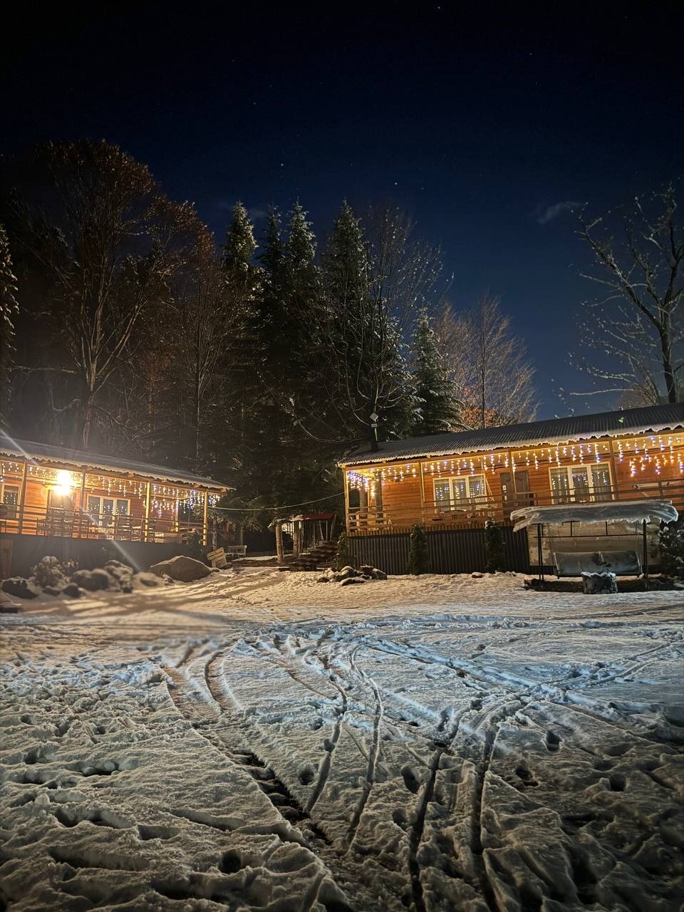 Фото Аргали