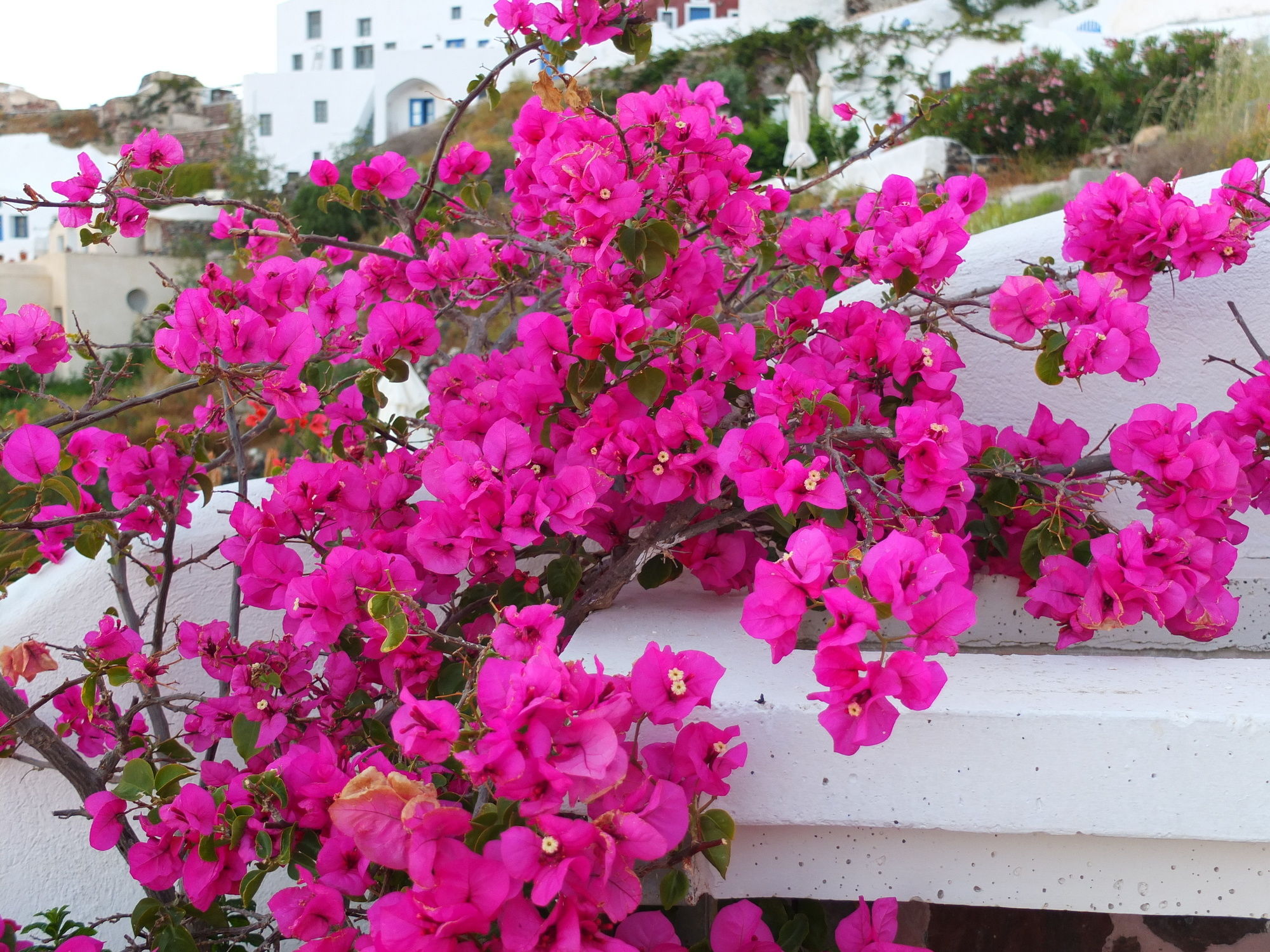 Фото Ifestio Villas