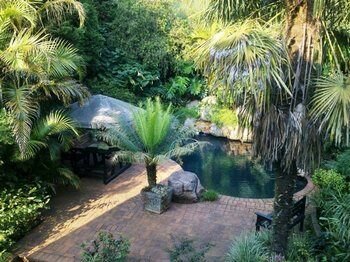 Фото Bancroft B and B