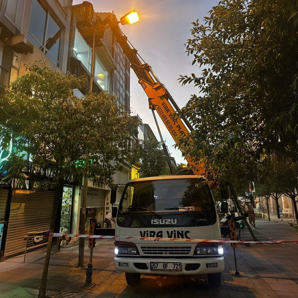 Rental of construction and special equipment Vira Crane Samsun, Samsun, photo