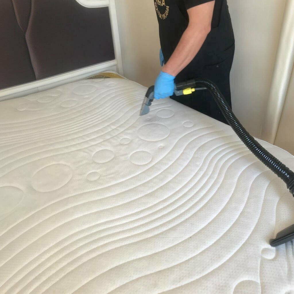 Cleaning services Vera Sofa Cleaning, Ankara, photo