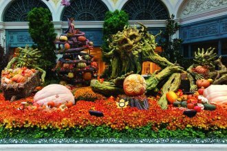 Фото Bellagio Hotel