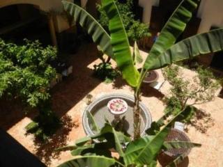 Фото Riad Ilayka