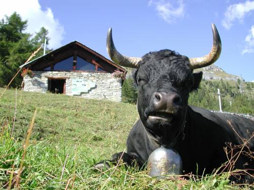 Фото Guarda Golf Hotel