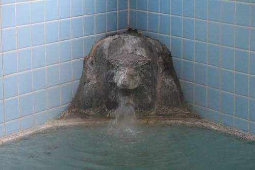 Фото Nozawa Dream