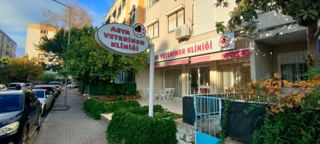 Veterinary clinic Asya Veterinary Clinic, Izmir, photo