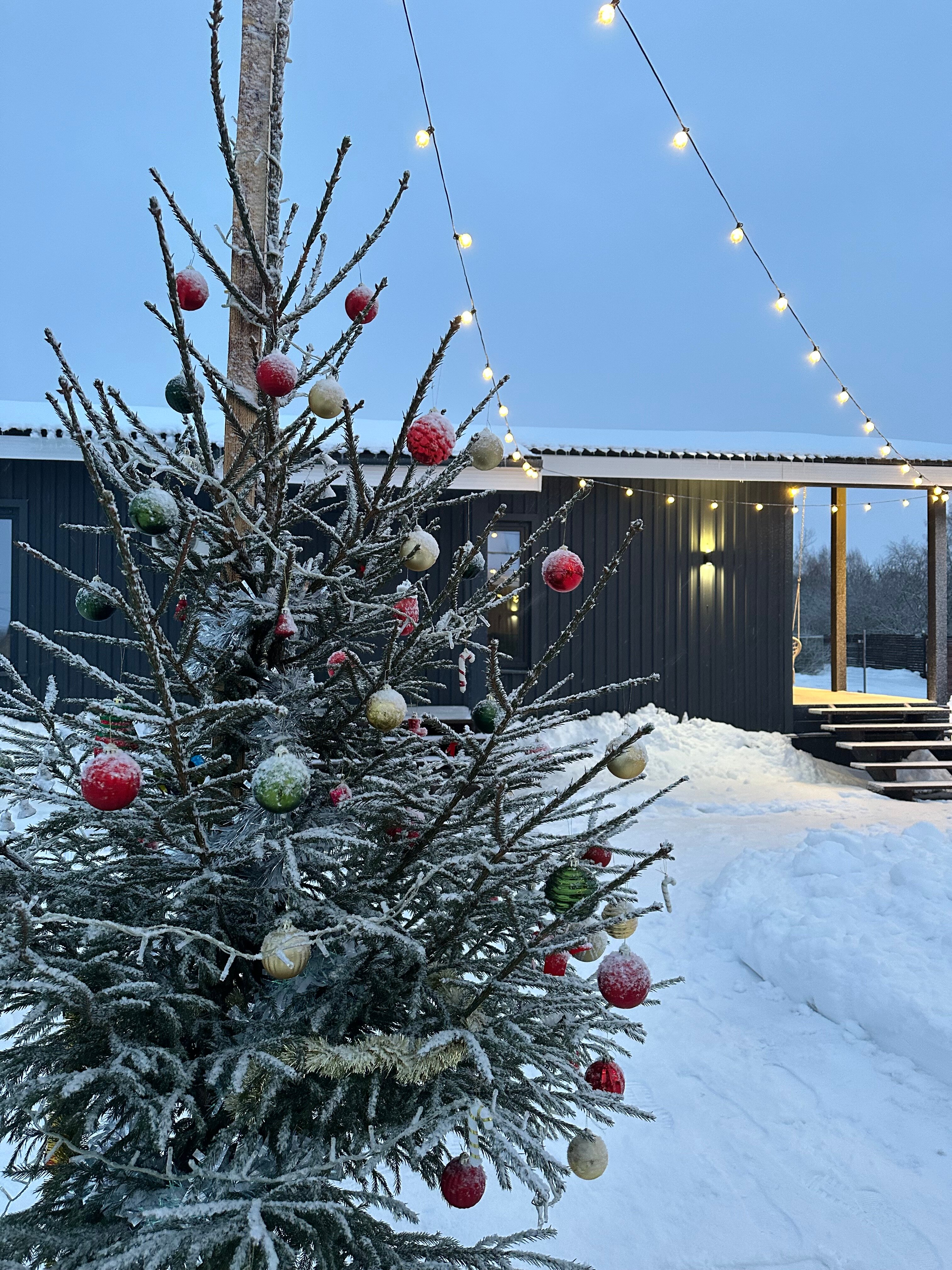 Фото VDerevne_pz