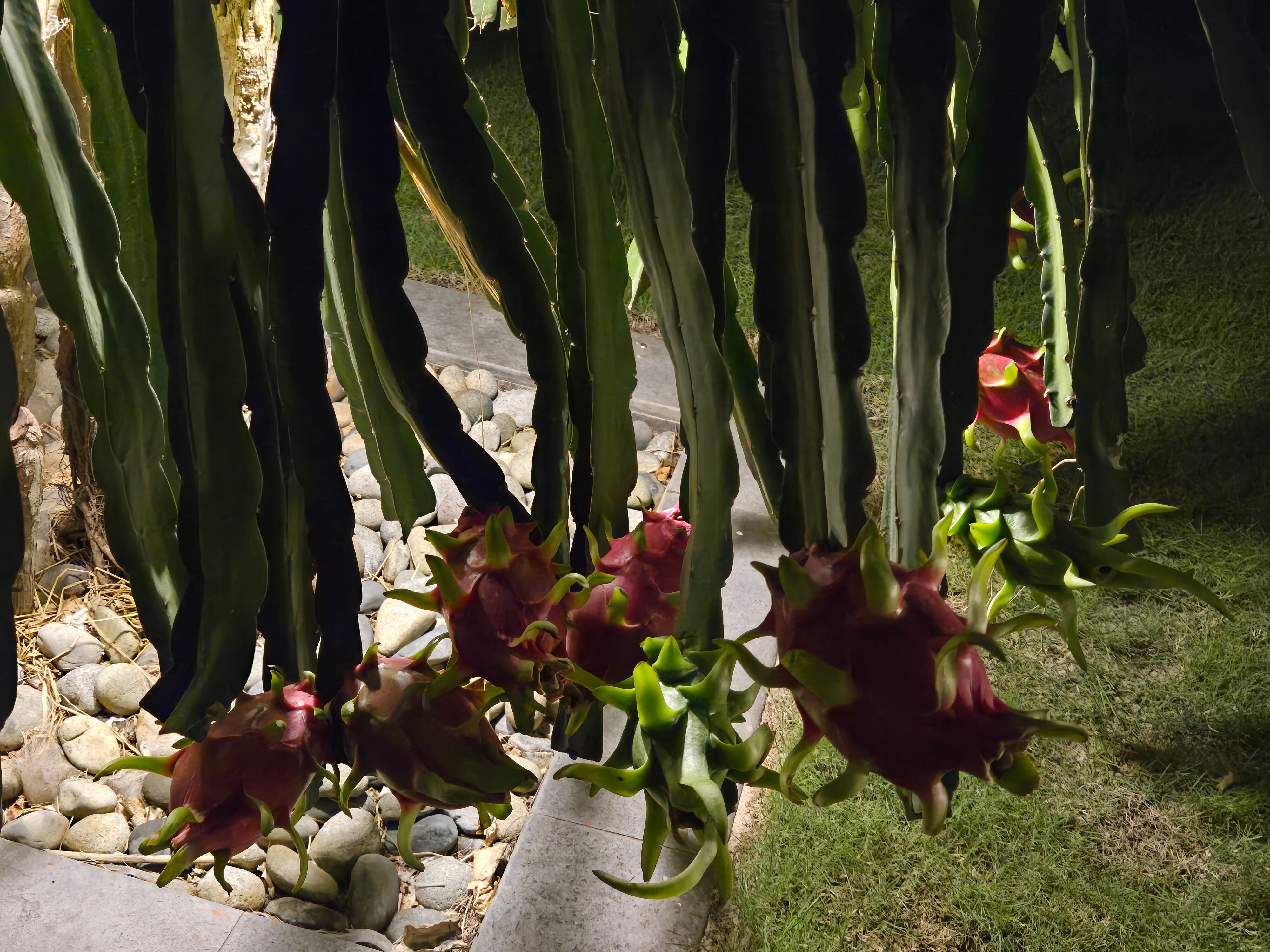 Фото Anantara Mui Ne Resort