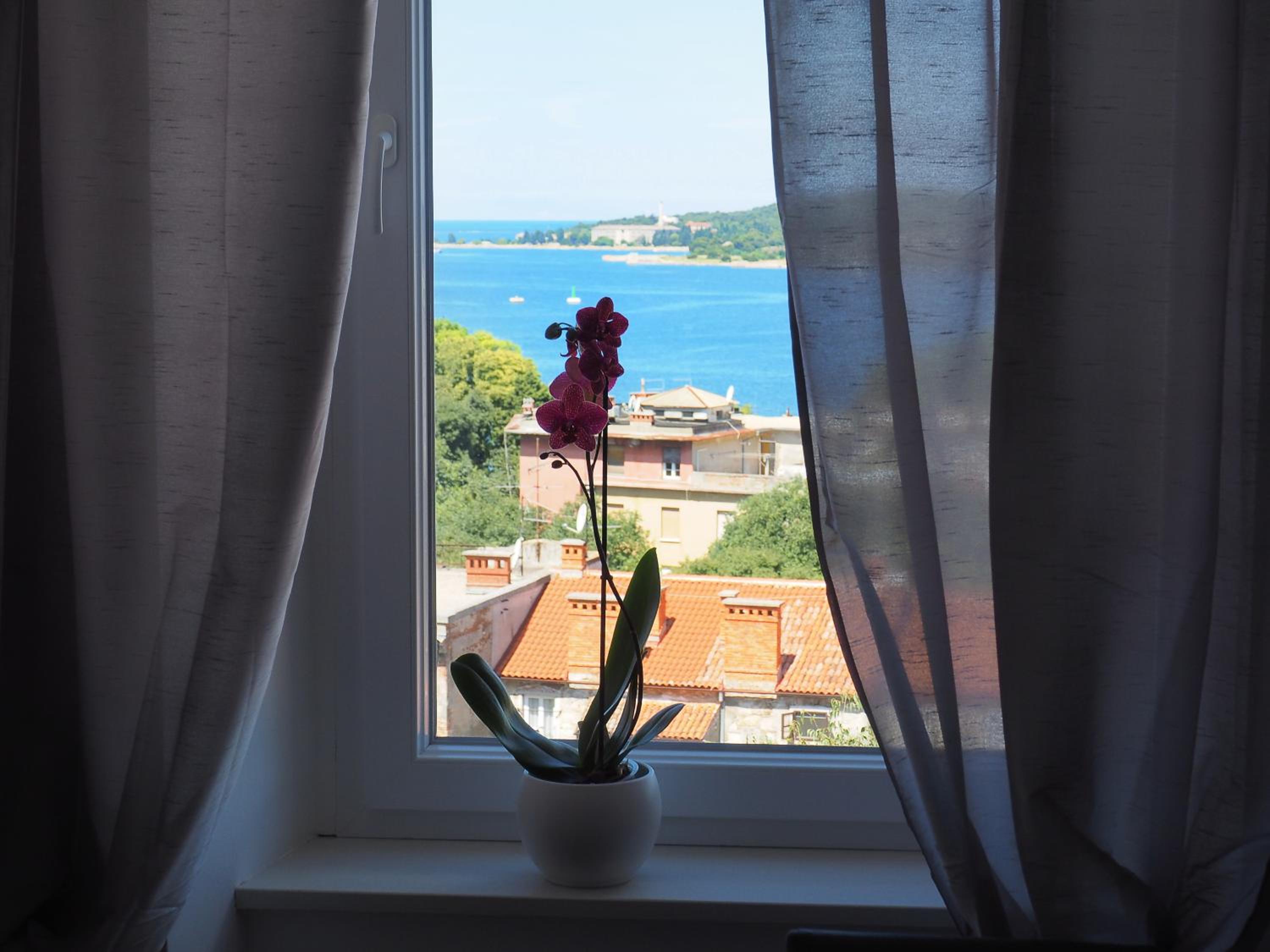 Фото Captain Emo City Apartments