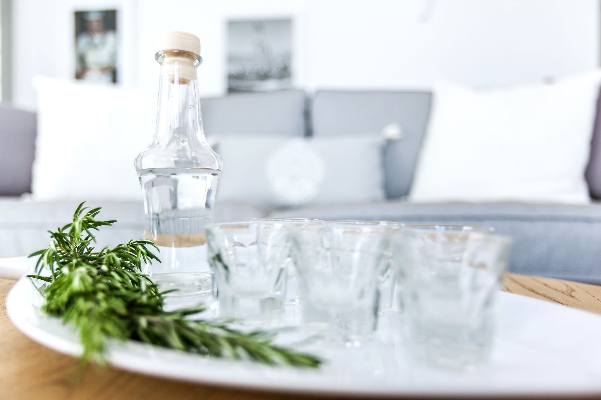 Фото Villa Vinea