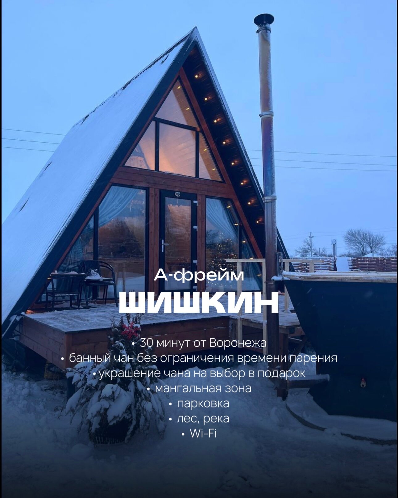 Фото Шишкин Афрейм