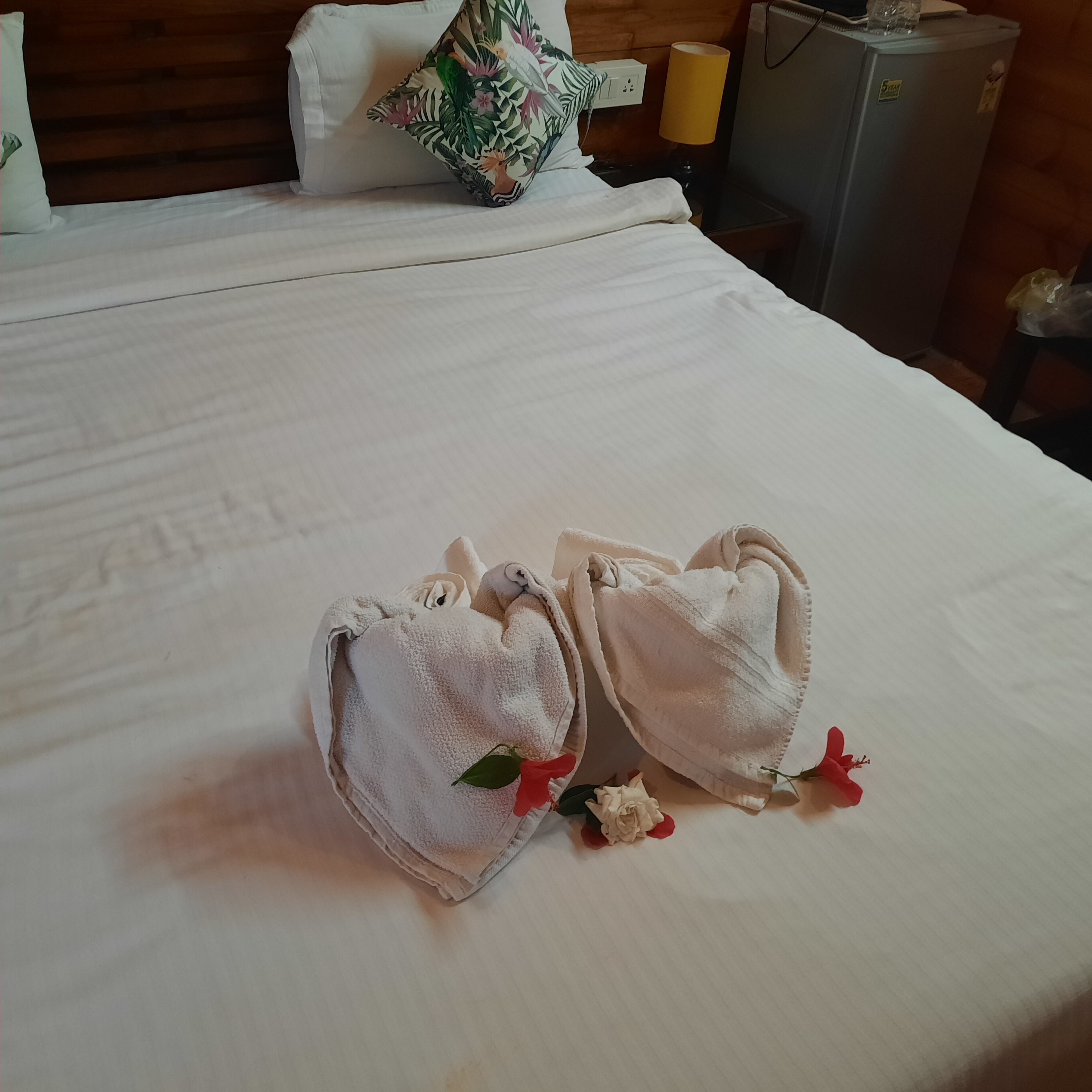 Фото Sal Riviera