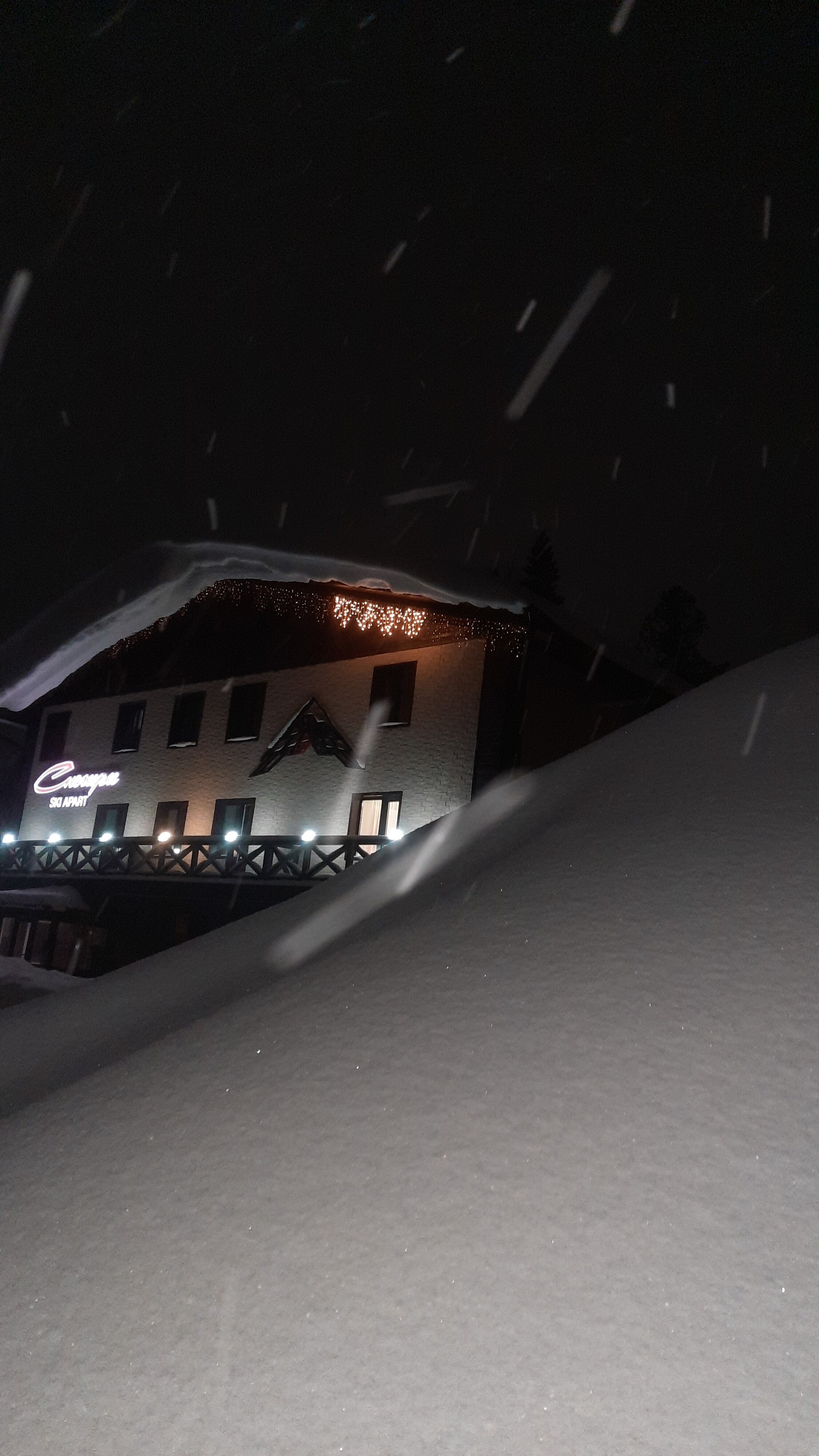 Фото Ski apart Снегири