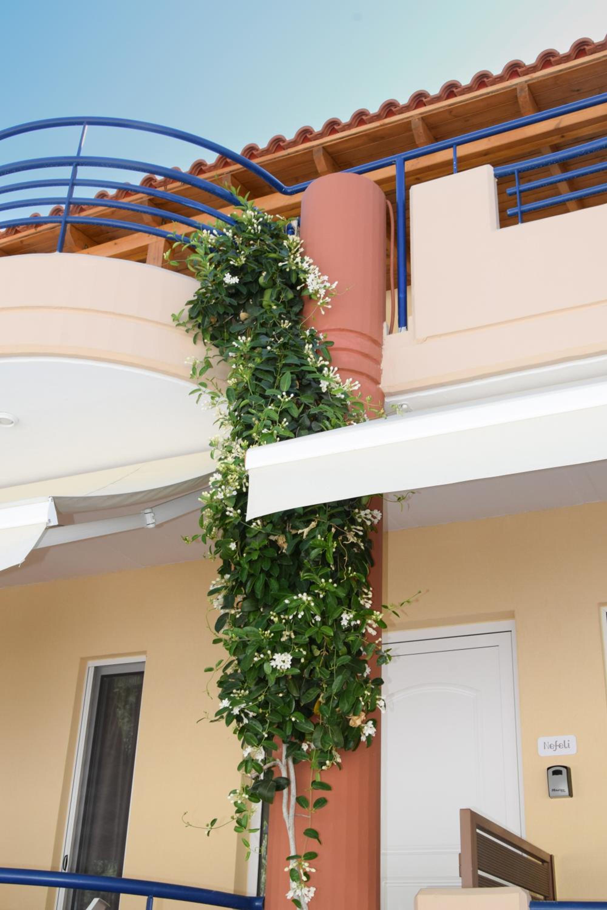 Фото Andy's Plaza