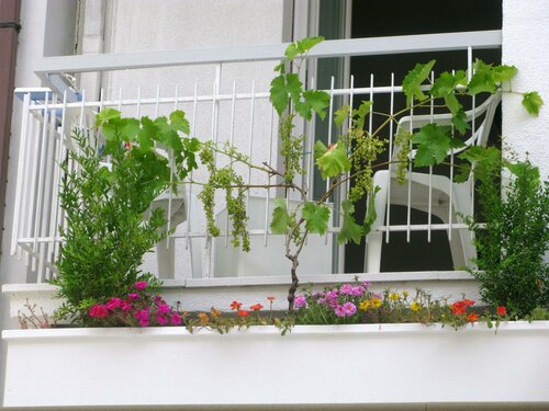 Гостиница Hotel Sorriso