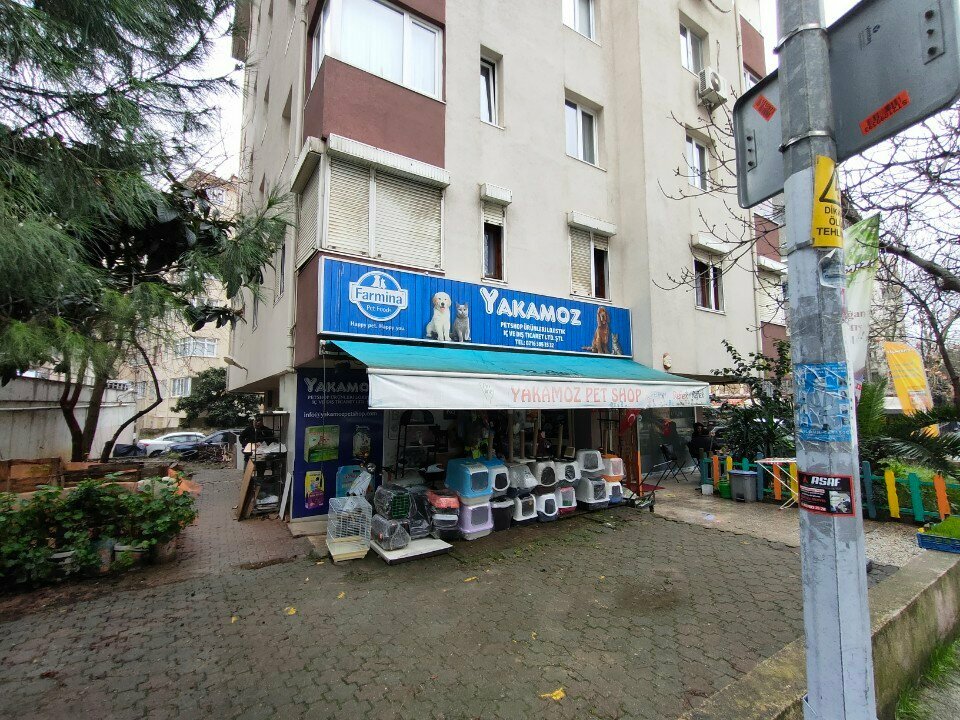 Pet shop Yakamoz akvaryum pet shop, Istanbul, photo