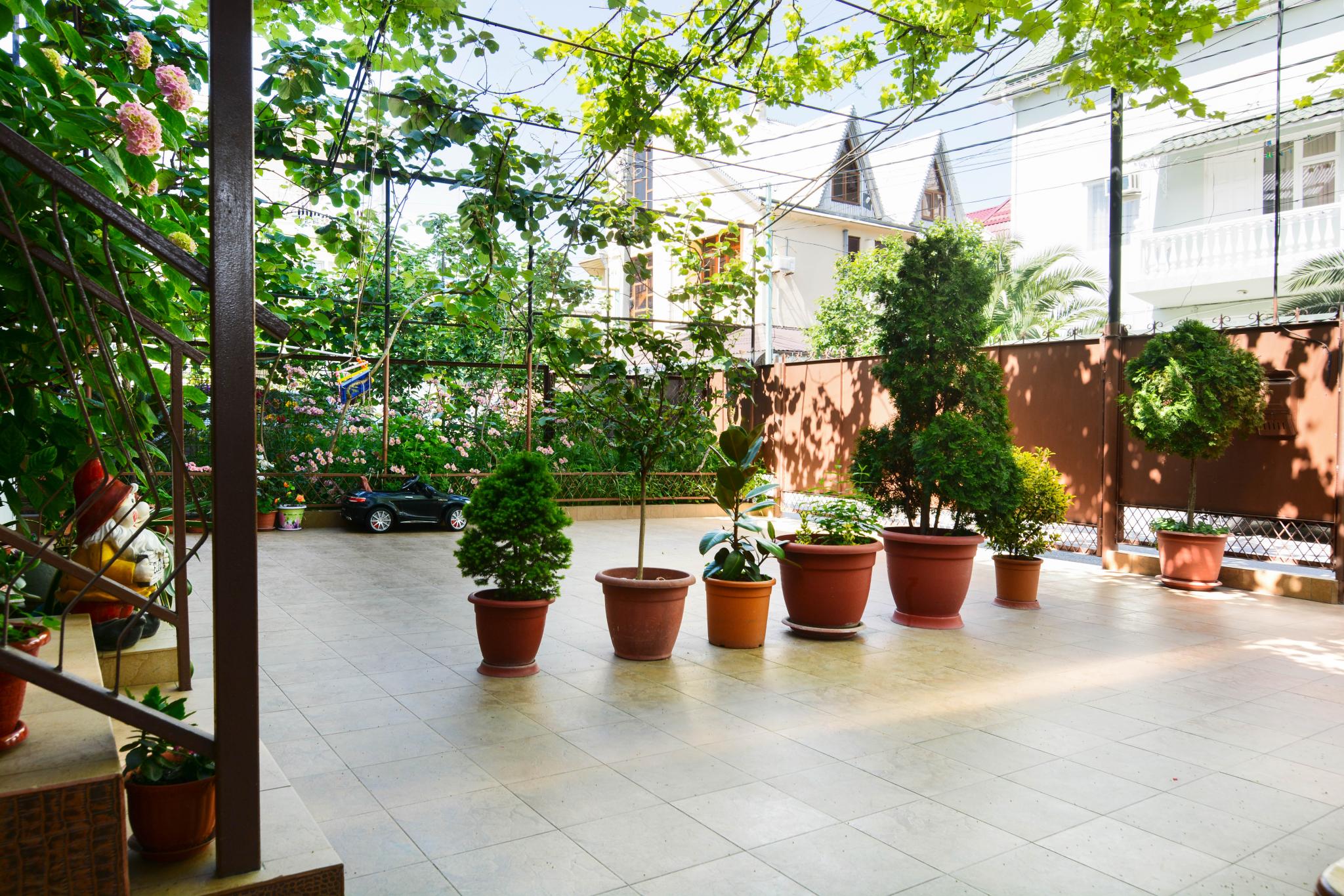 Фото Звёздочка