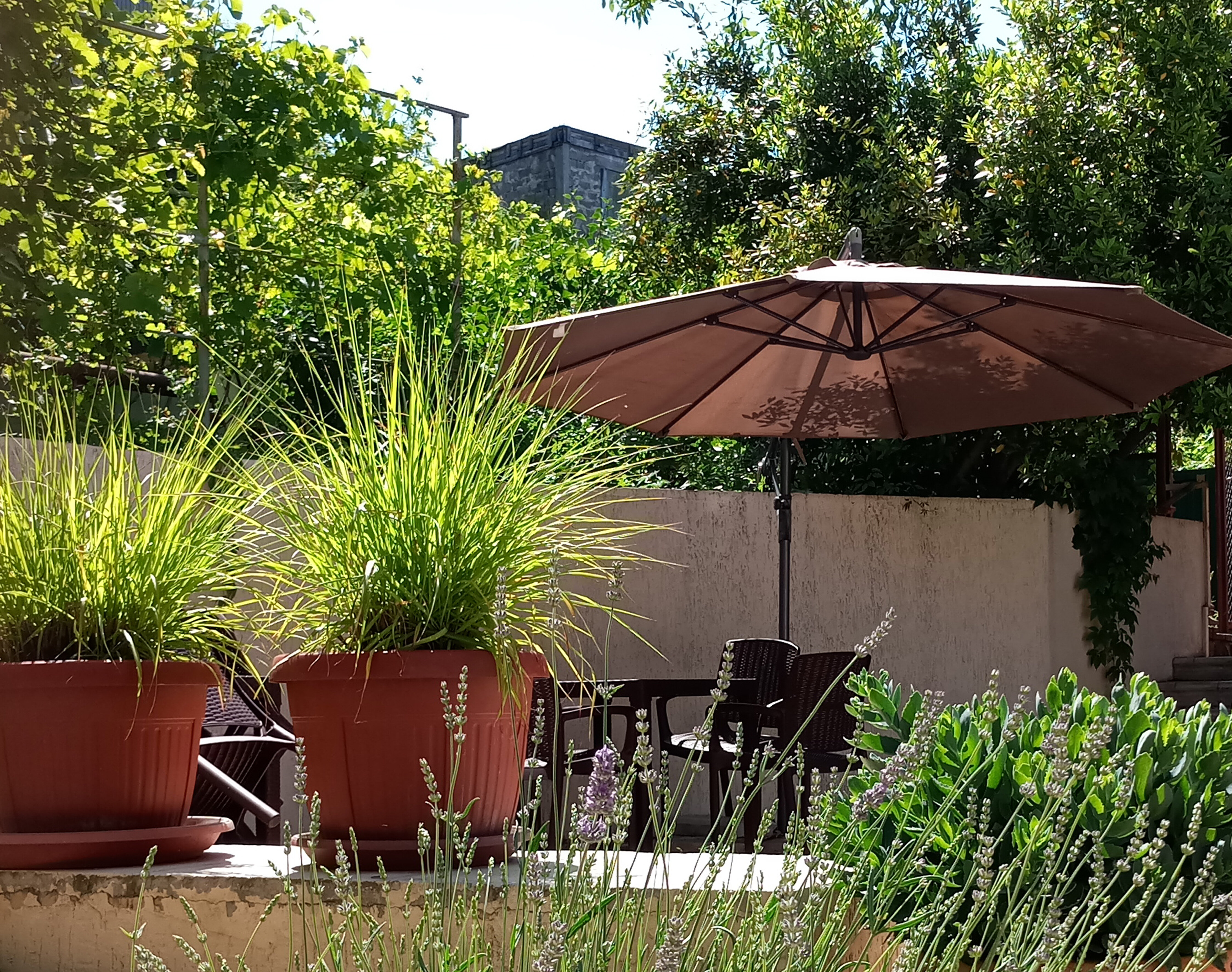 Фото Французский дом