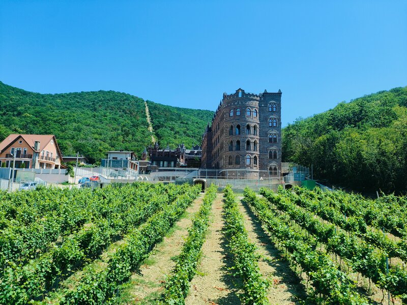 Гостевой дом Шато-Дюрсо