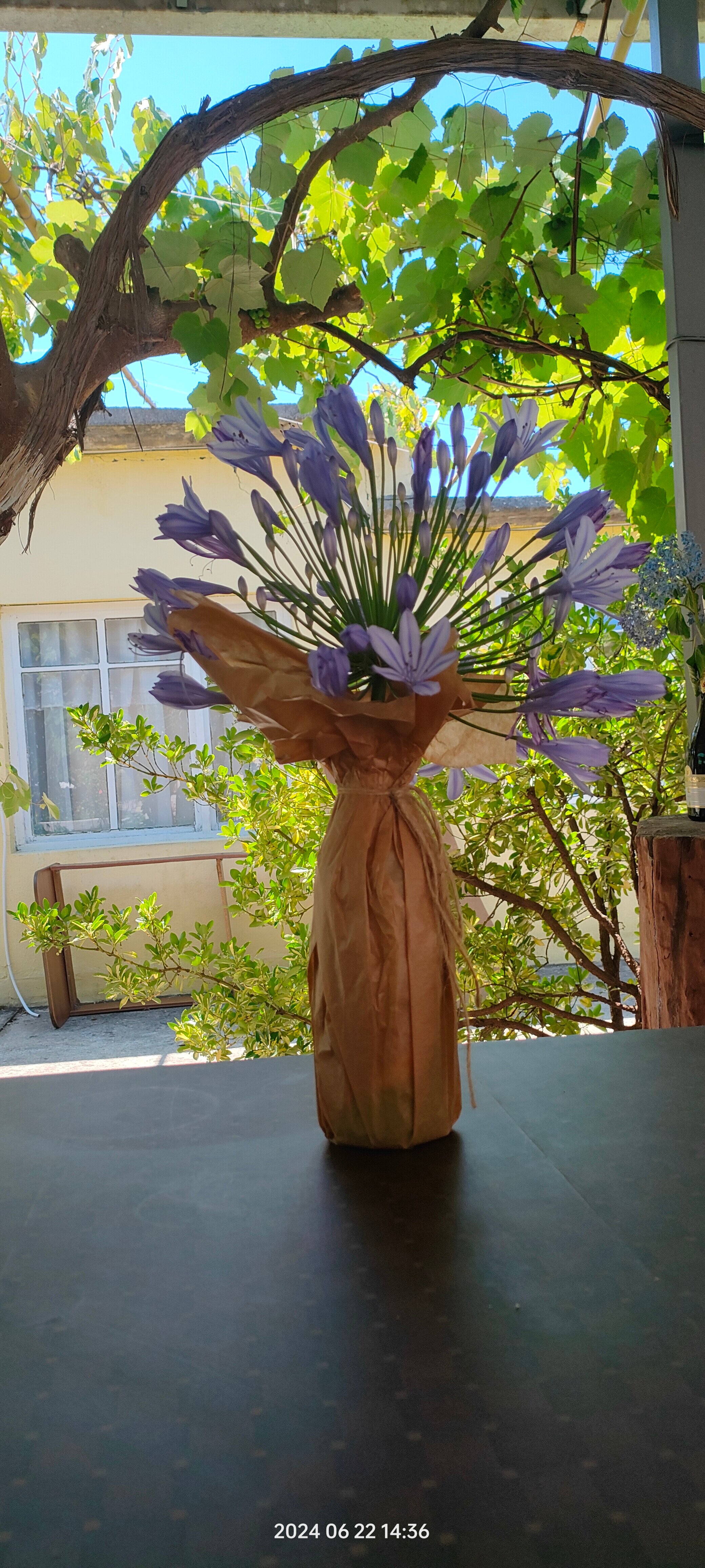 Фото Тристан