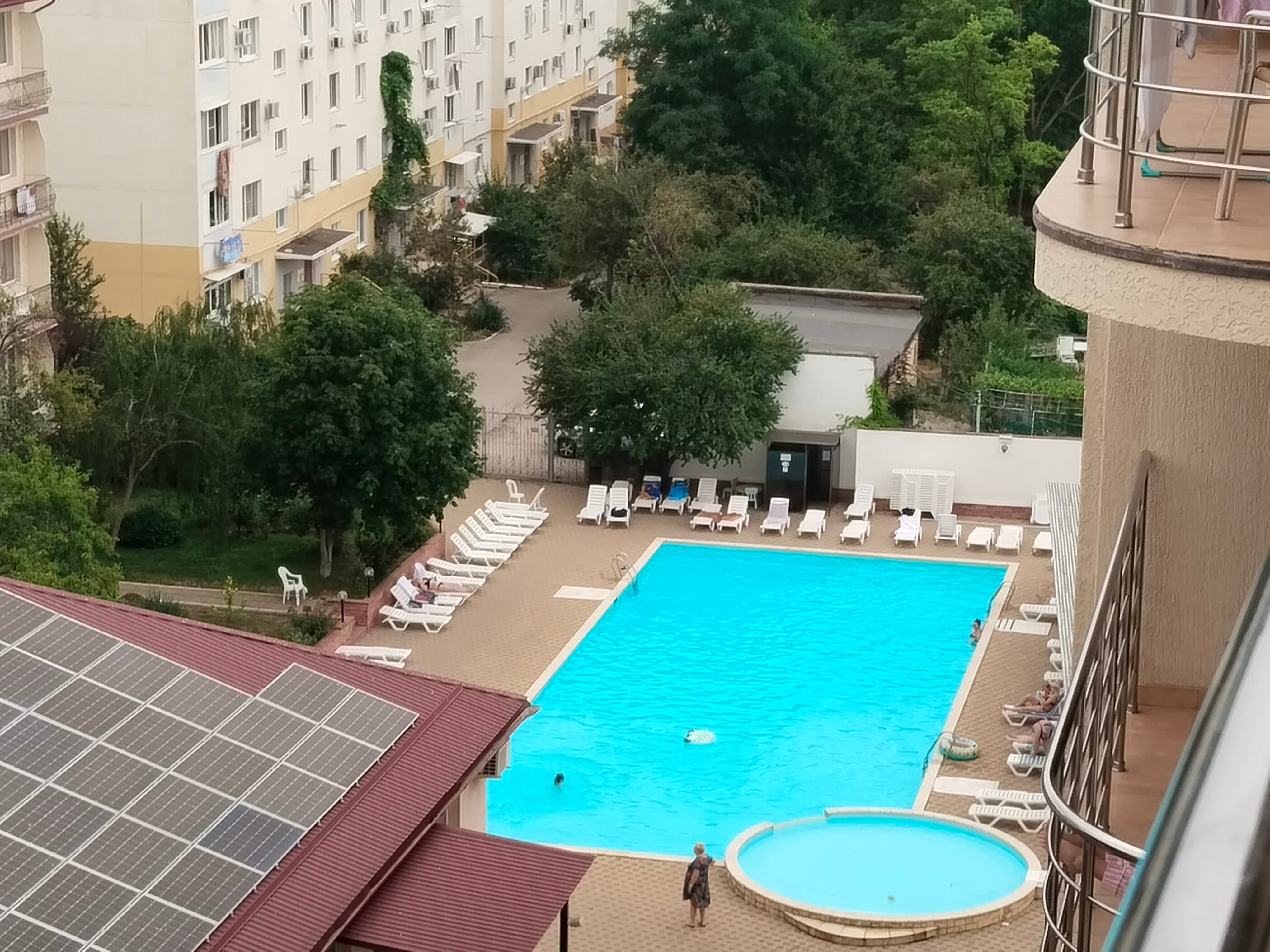 Фото Фламинго