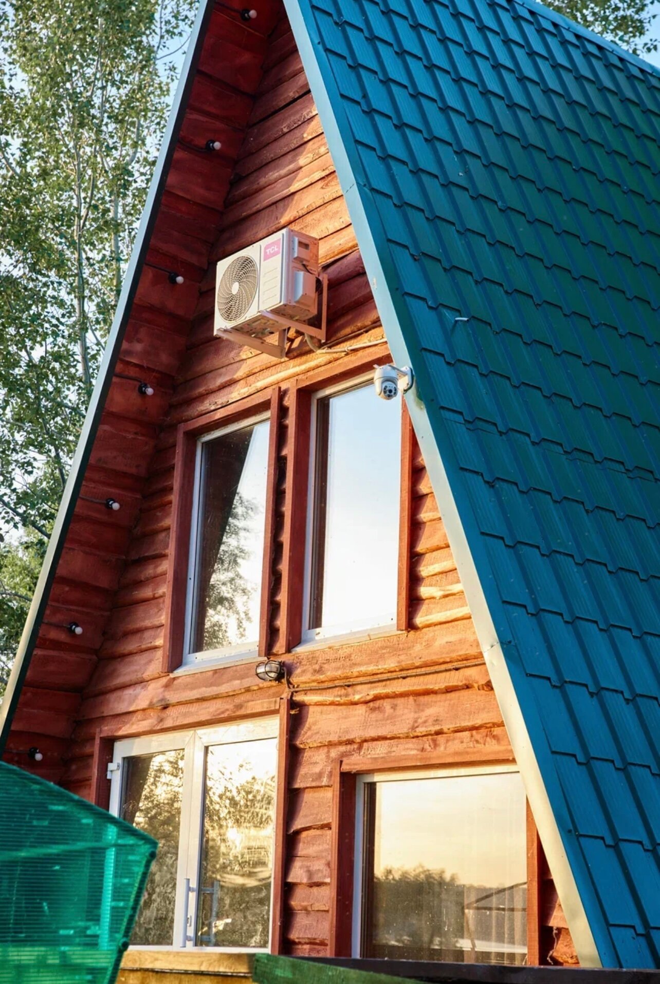 Фото Облепиха