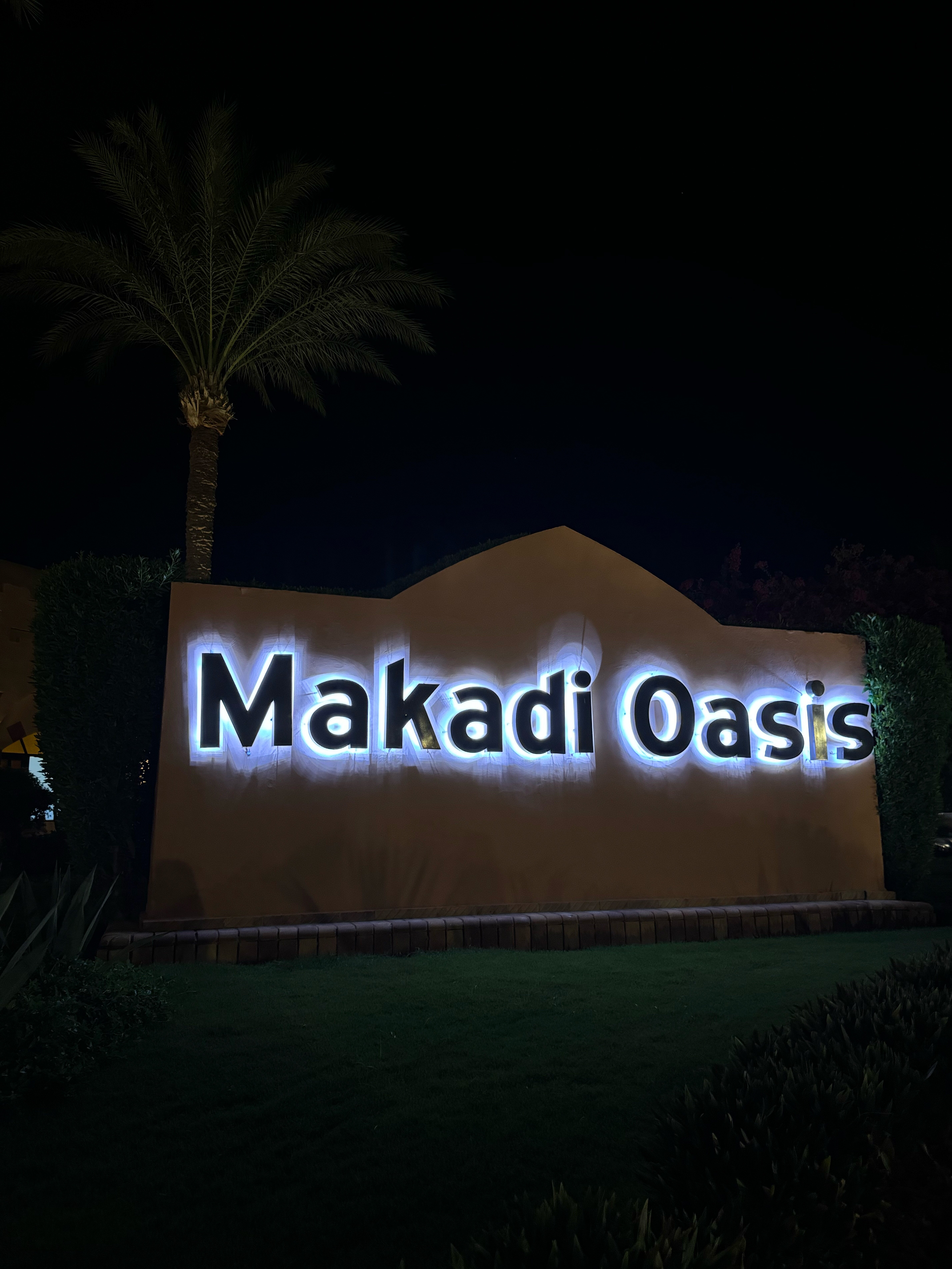 Фото Jaz Makadi Saraya Resort