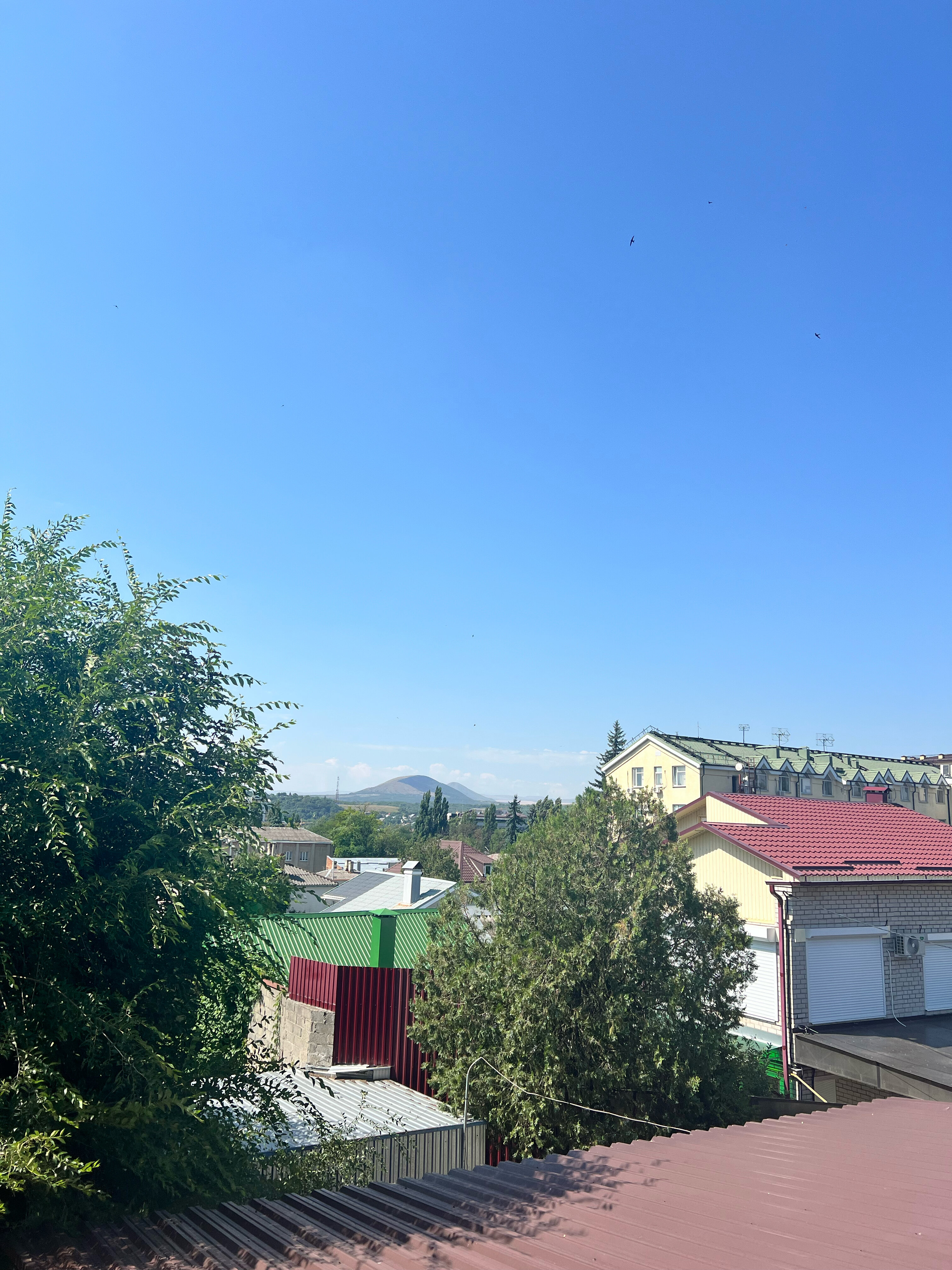 Фото Оливия