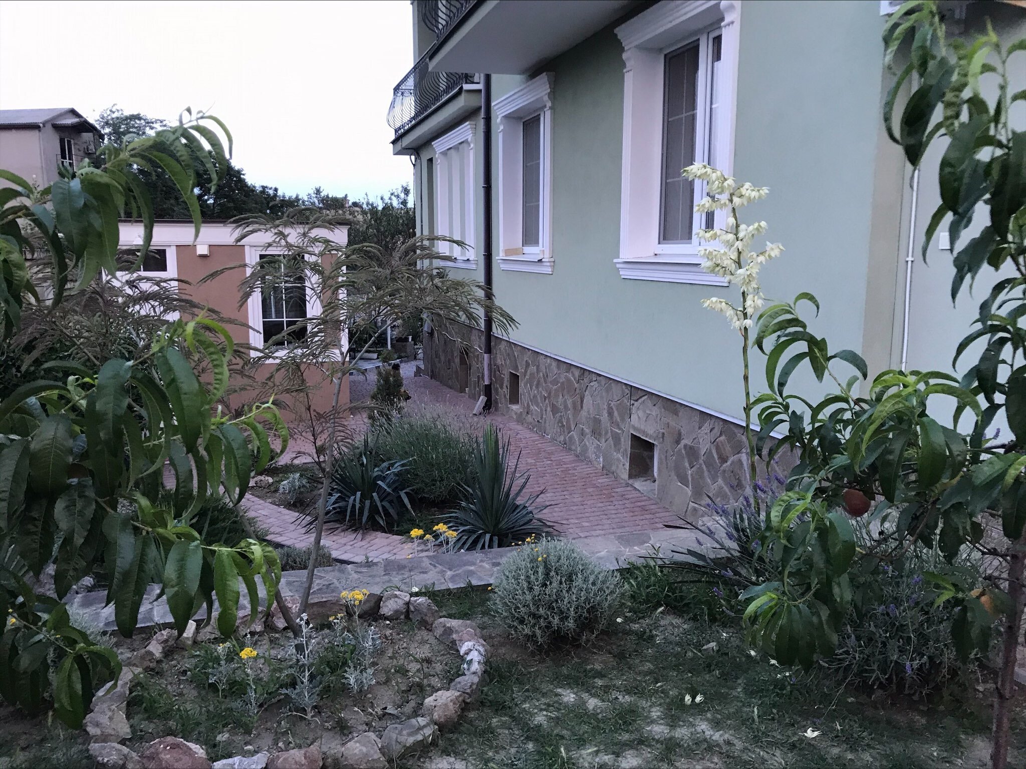 Фото Вилла Грин