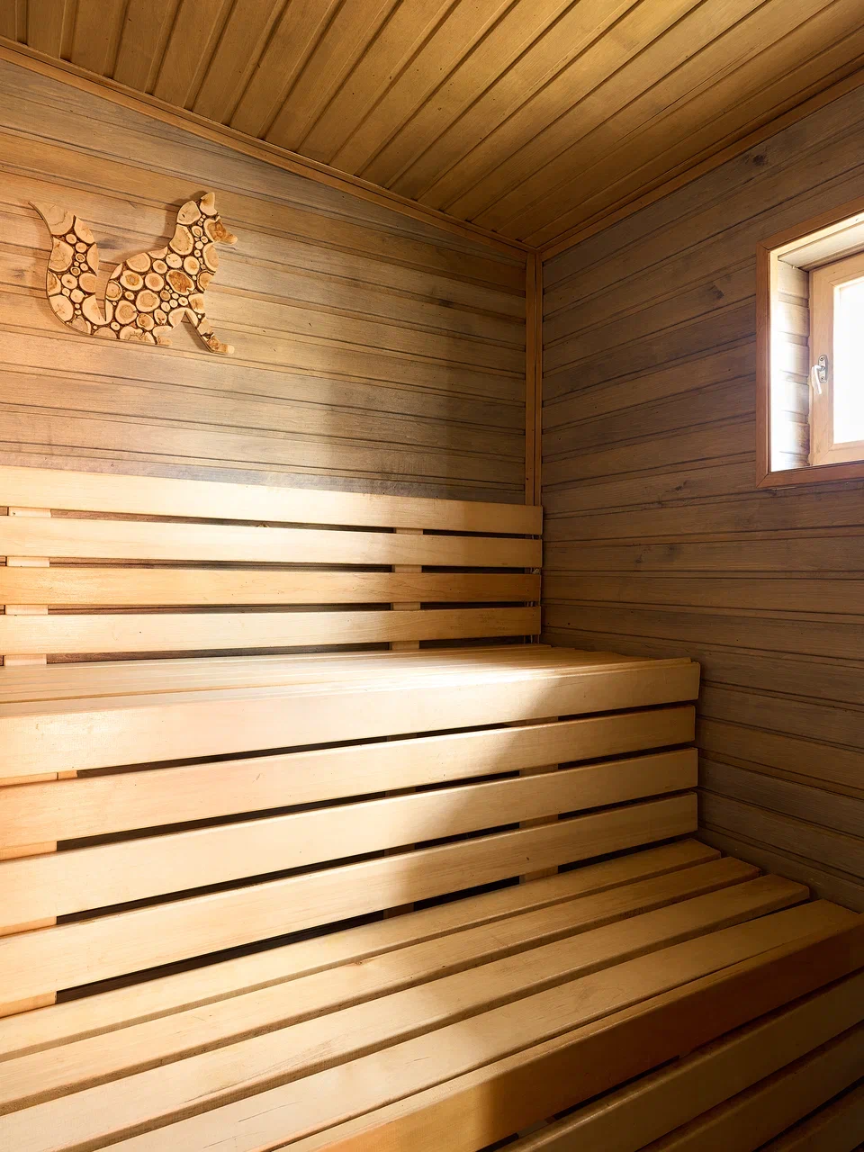 Фото Зеленый лес