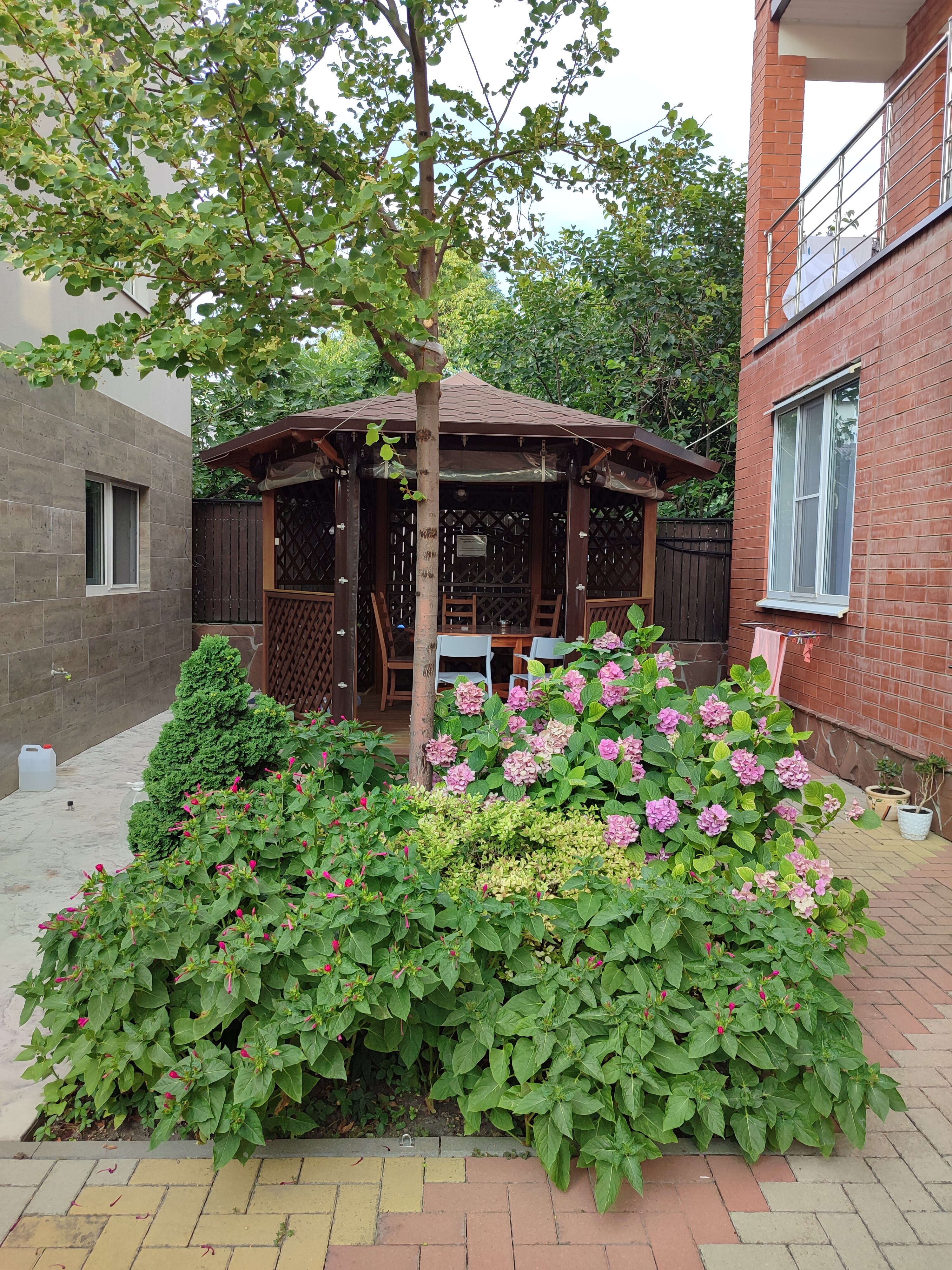 Фото Гелиос