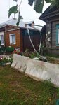 Набережная (Naberezhnaya ulitsa, 5), cafetería